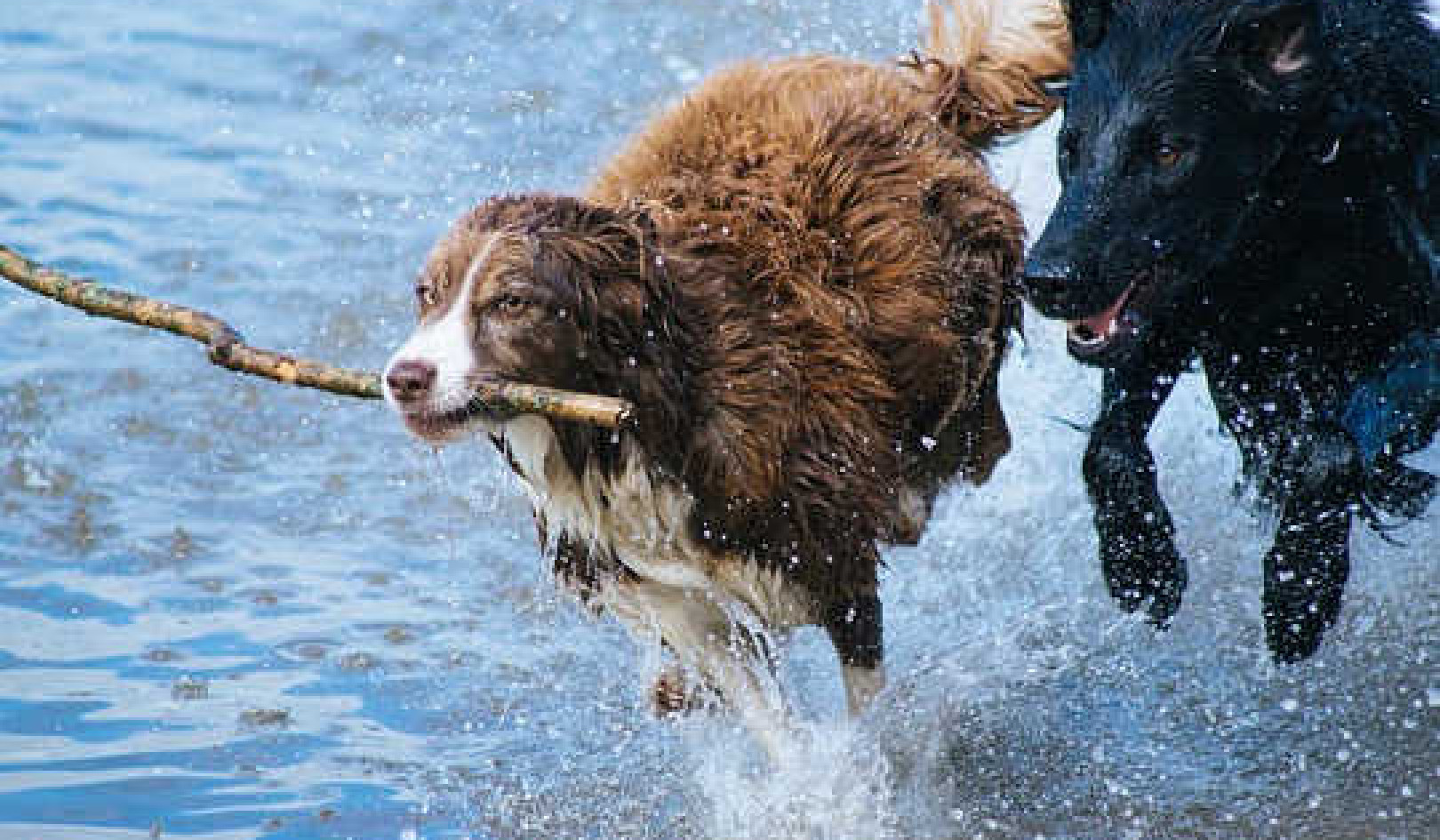 Fear, Anxiety, Panic: The Brain Needs A Certain Level Of Stress Hormones To Function At Its Peak